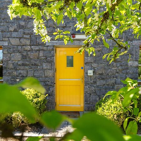 Burren Court Lodge Ballyvaughan Buitenkant foto