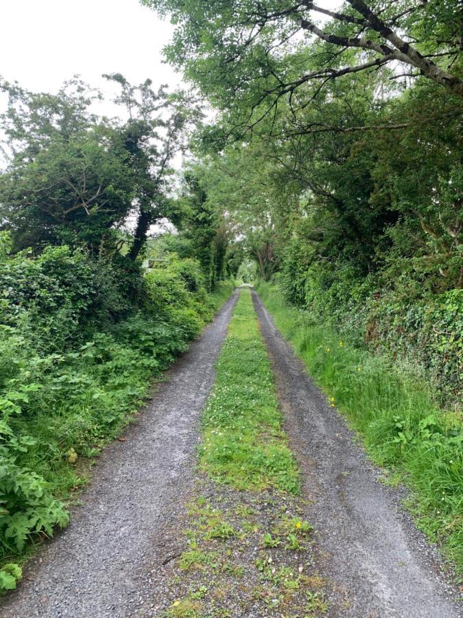 Burren Court Lodge Ballyvaughan Buitenkant foto