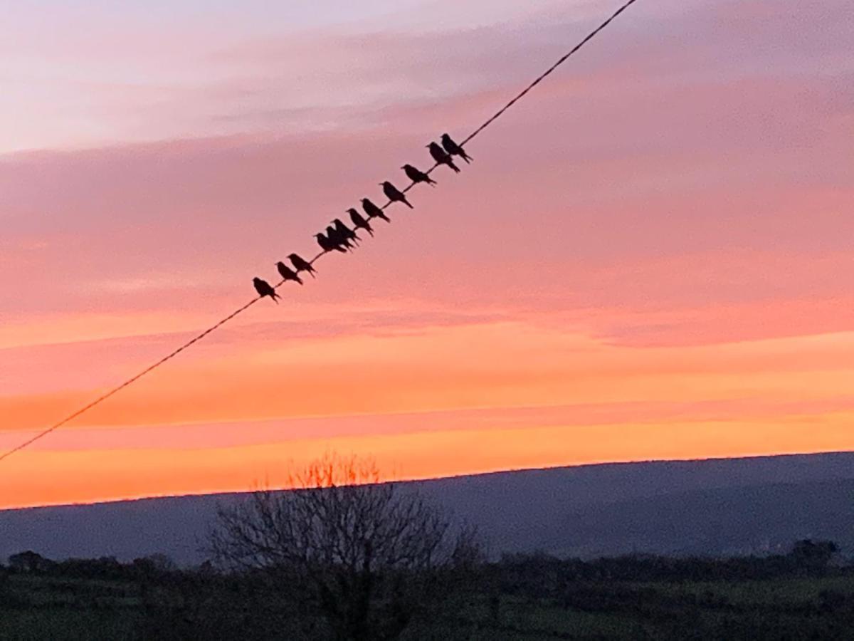 Burren Court Lodge Ballyvaughan Buitenkant foto