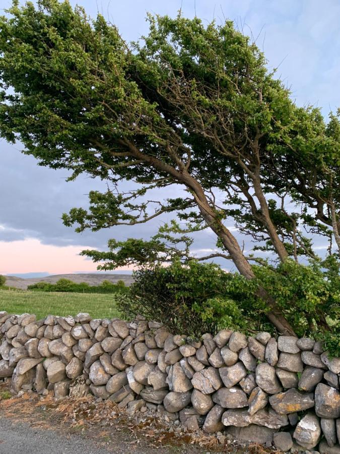 Burren Court Lodge Ballyvaughan Buitenkant foto